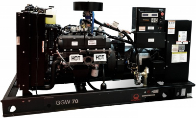 картинка Газовый генератор Pramac GGW70G от магазина Генератор Центр